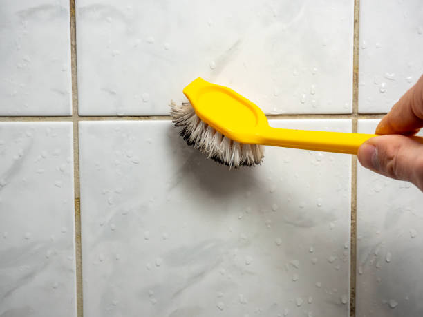 Best Mold Remediation Experts  in Center Point, AL