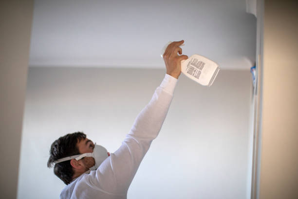 Best Mold Remediation  in Center Point, AL