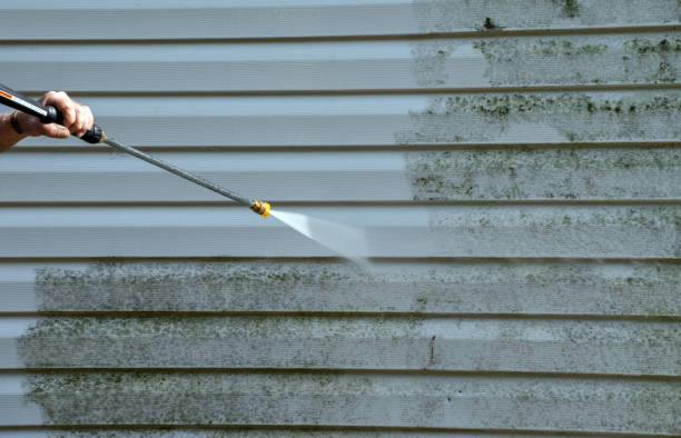 Best Attic Mold Removal  in Center Point, AL