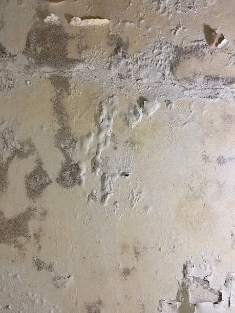 Water Damage Restoration in Center Point, AL