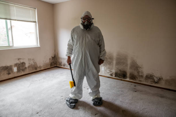 Best Mold Removal Process  in Center Point, AL
