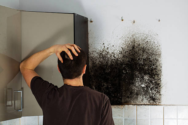 Best Office Mold Removal Services  in Center Point, AL